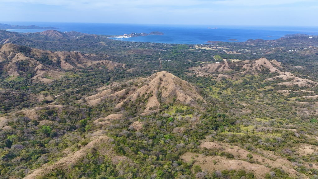 dji_fly_20250129_93846 AM_0116_1738252516409_photo