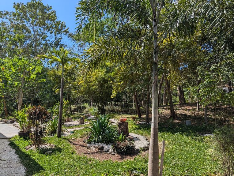 24e44edb-5c73-4ae4-8ef9-bdc50771a84f