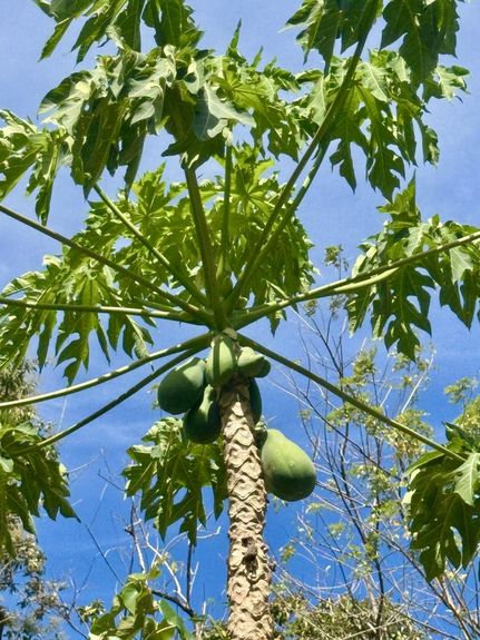 2db5f7ed-e588-4c4c-8707-4da6aae5d48f