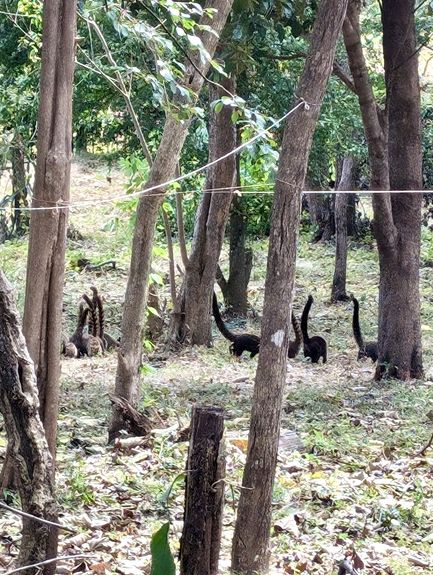 802c7c03-293b-4eb8-9a0a-beb2b3be0dce