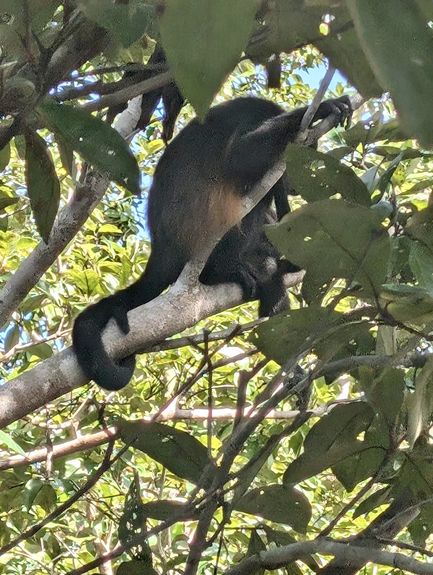 9948816a-ad79-41cc-9484-ccffc7e68c9f