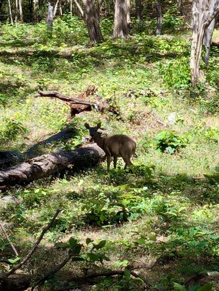 a3b9f7c5-4e7f-4718-9d17-7501c6be7ac5