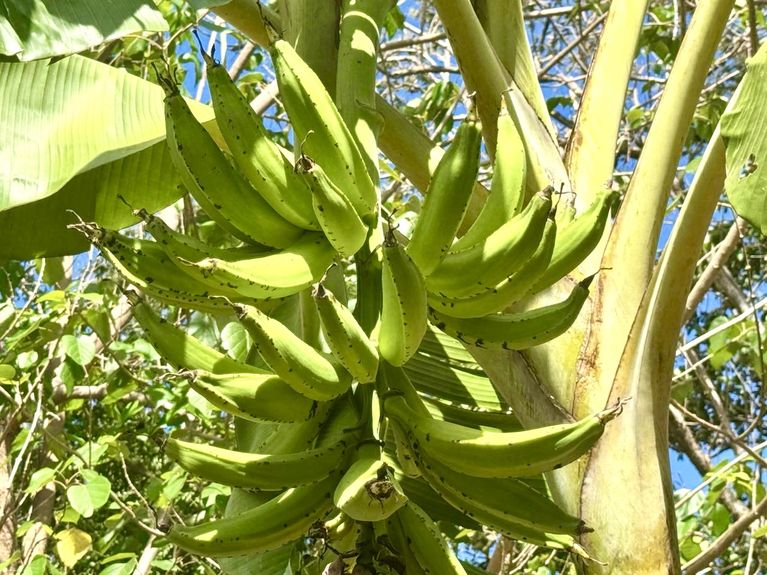 ce930155-fae6-497a-9689-cf08bbed89bf