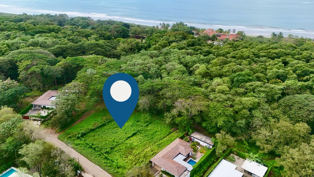 dji_fly_20241205_81238 AM_0643_1733408187495_photo