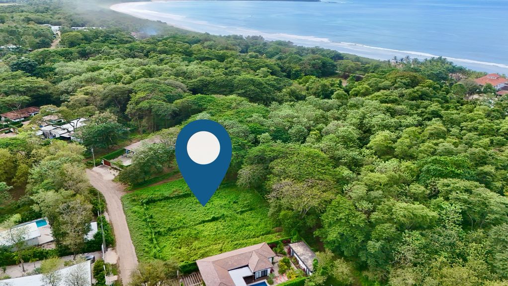 dji_fly_20241205_81246 AM_0644_1733408186366_photo