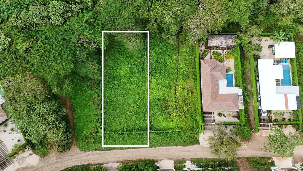 dji_fly_20241205_81318 AM_0645_1733408185200_photo