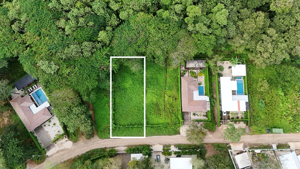 dji_fly_20241205_81324 AM_0646_1733408183816_photo