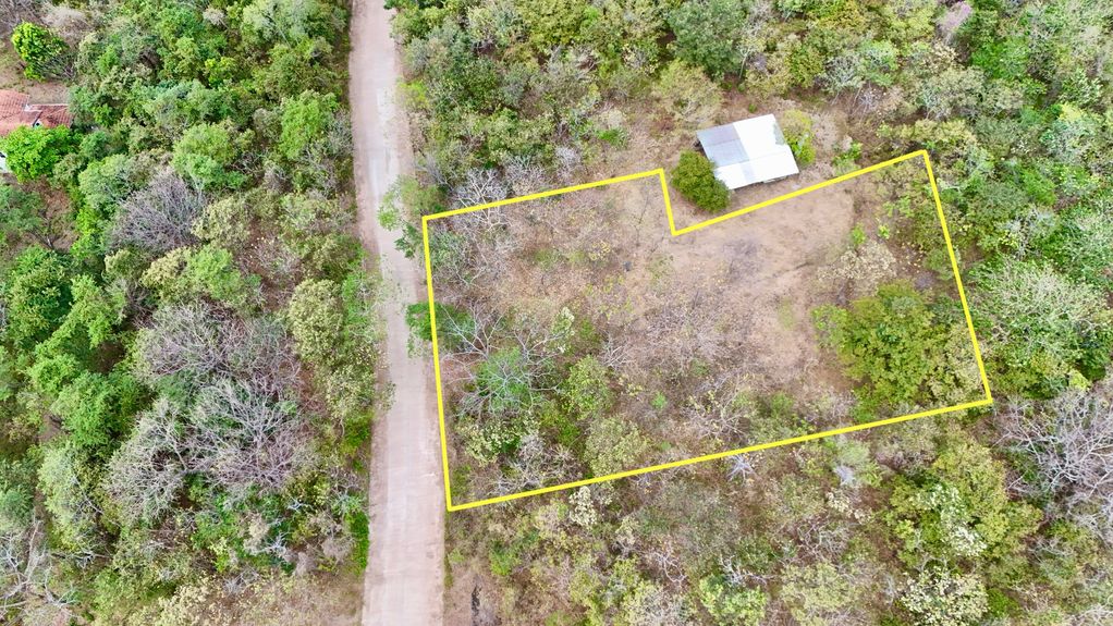 dji_fly_20250215_12332 PM_0199_1739738183141_photo