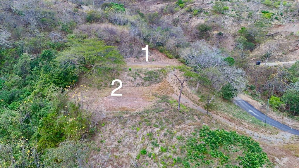 dji_fly_20250216_54840 PM_0244_1739751546082_photo 2