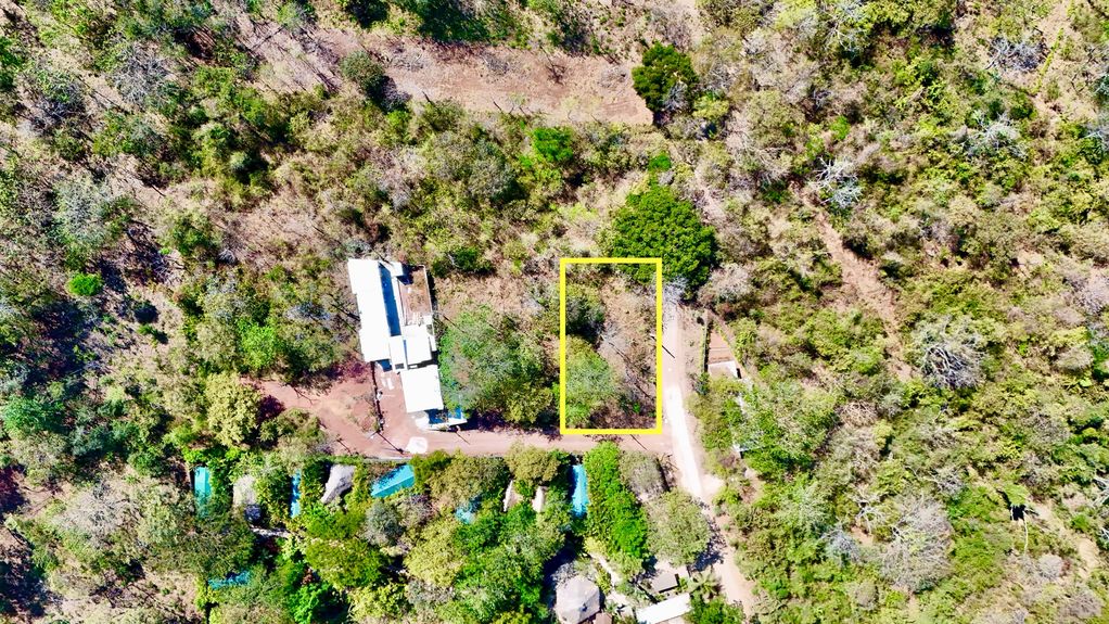 dji_fly_20250313_21528 PM_0334_1741898656675_photo