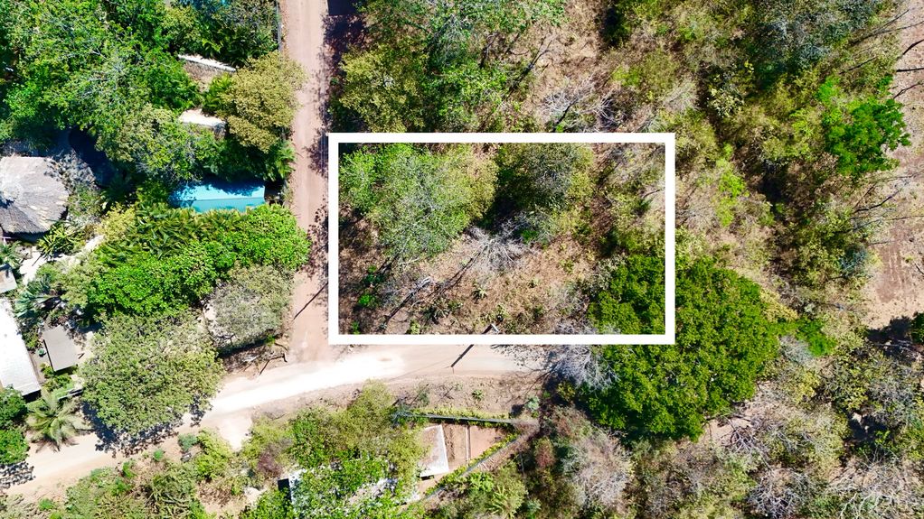 dji_fly_20250313_21658 PM_0337_1741898652809_photo