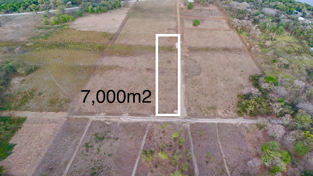 dji_fly_20250313_55946 PM_0368_1741970796244_photo