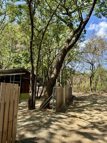 DJI_20250406_102003_964 AM