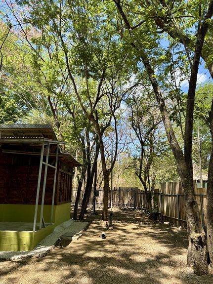 DJI_20250406_102353_217 AM