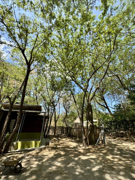 DJI_20250406_102627_613 AM