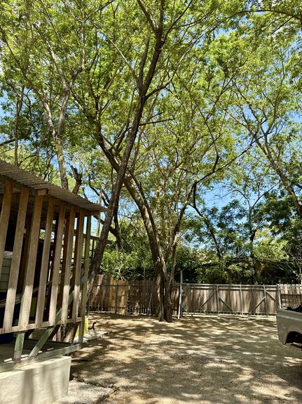 DJI_20250406_103116_824 AM