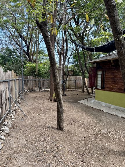 DJI_20250406_103320_175 AM