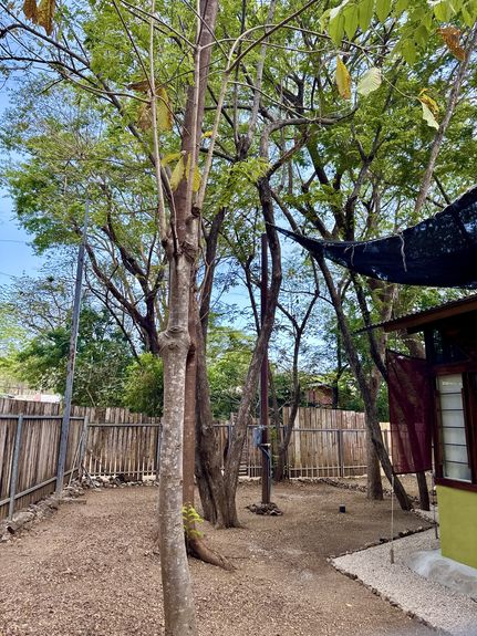 DJI_20250406_103605_500 AM