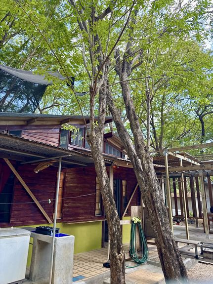 DJI_20250406_103728_360 AM