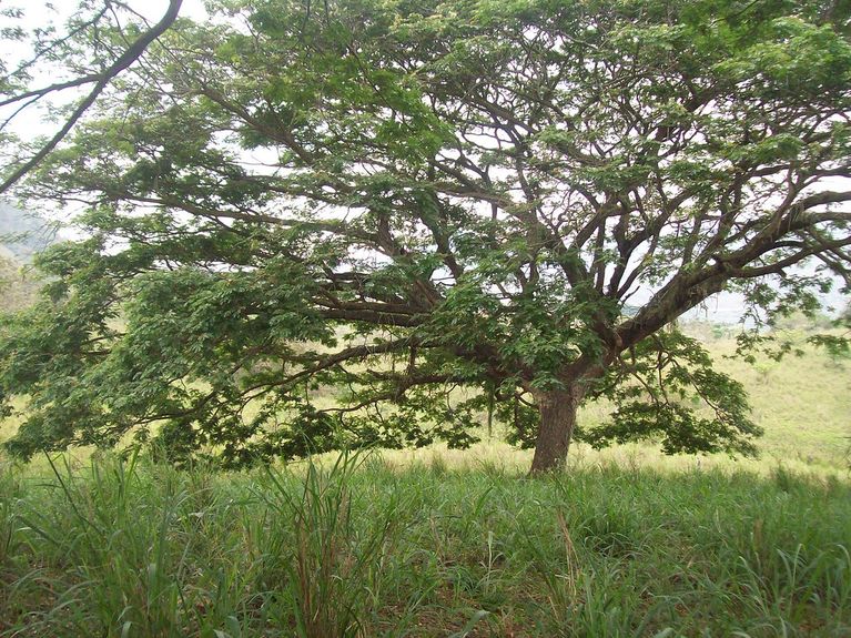 Todd Dearing Mixed Use3