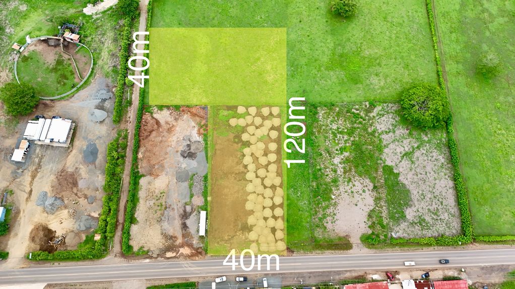 dji_fly_20250606_121138 PM_0779_1749238290014_photo