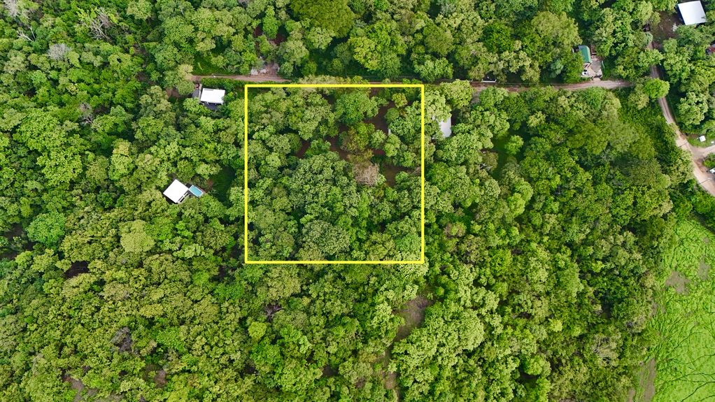 dji_fly_20250618_50438 PM_0854_1750288378058_photo