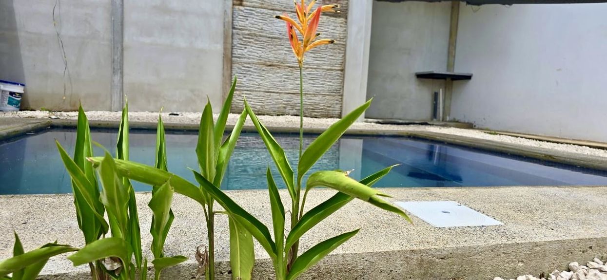 17b4b7d5-d181-4346-a569-3752336900ec