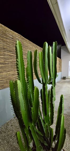 6f0a0ea9-931b-47de-ac78-a5c43e669008