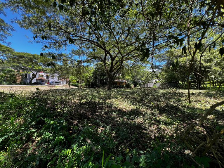 826d2ba9-c85f-43d9-8849-c8d7fe33e939