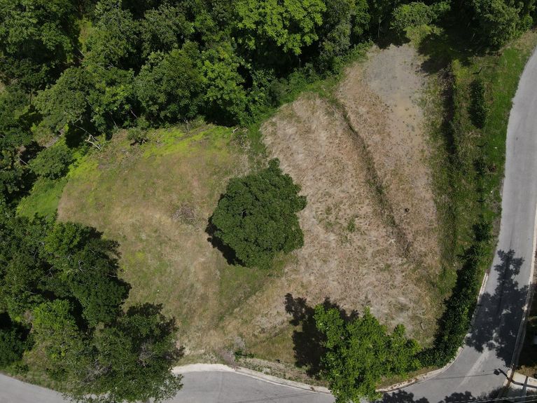 WhatsApp Image 2025-07-14 at 12.38.31 PM