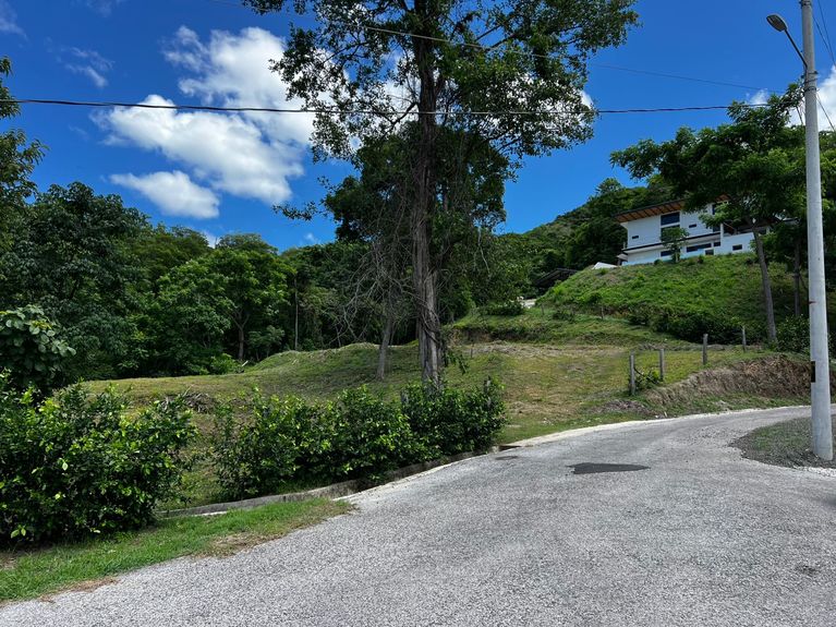 WhatsApp Image 2025-07-14 at 12.41.28 PM