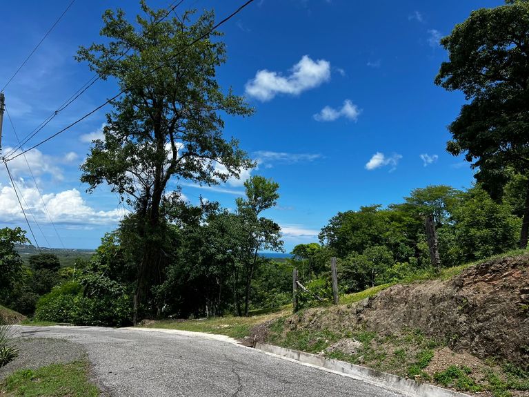 WhatsApp Image 2025-07-14 at 12.41.29 PM