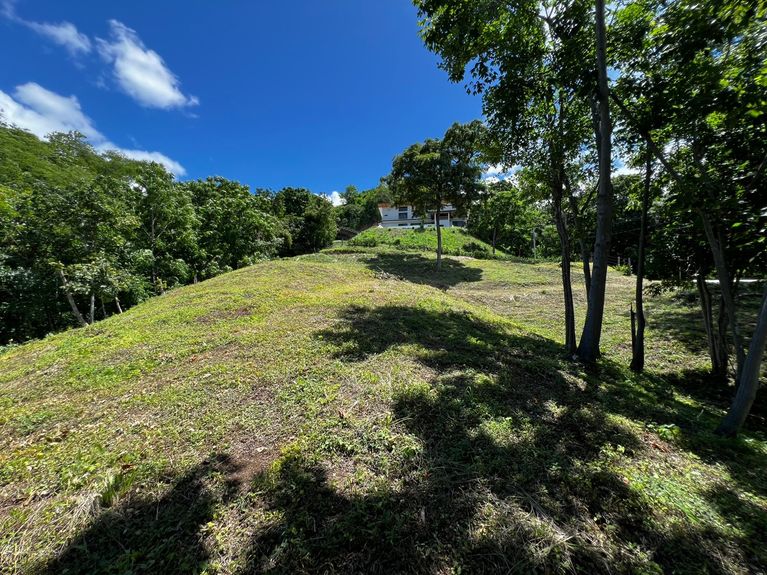 WhatsApp Image 2025-07-14 at 12.41.30 PM (1)