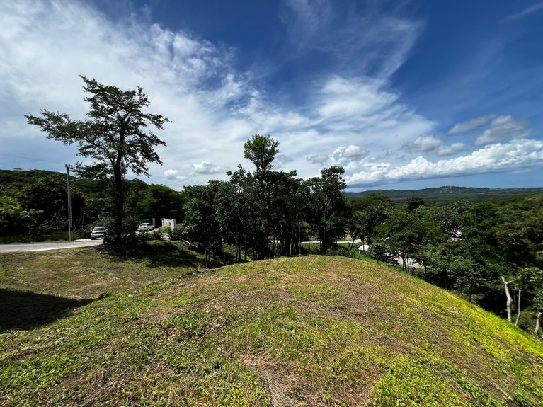 WhatsApp Image 2025-07-14 at 12.41.30 PM