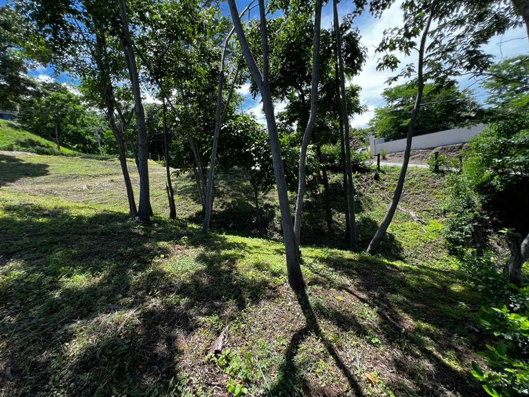 WhatsApp Image 2025-07-14 at 12.41.31 PM