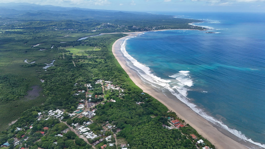 PGE LOTD74 BLANK @-2