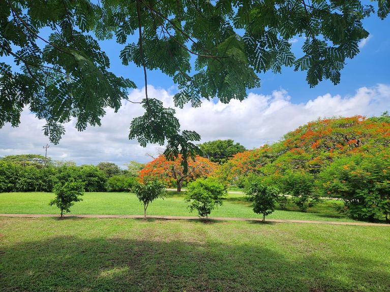 WhatsApp Image 2025-07-18 at 7.33.51 AM (1)