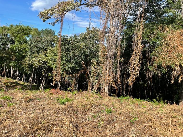 02608ed8-effe-48ab-8b74-1b5caf63923b