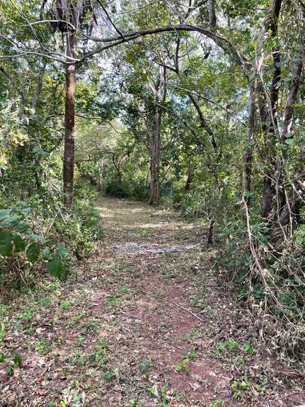 1b839f70-e4bc-4f8c-8e01-cb2a9054898a