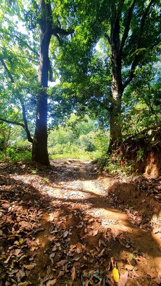 27688545-580f-4ba4-855d-9e5f28a26a55