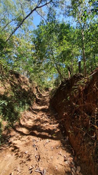 30236739-a7e2-4633-b220-536ad0439a3d