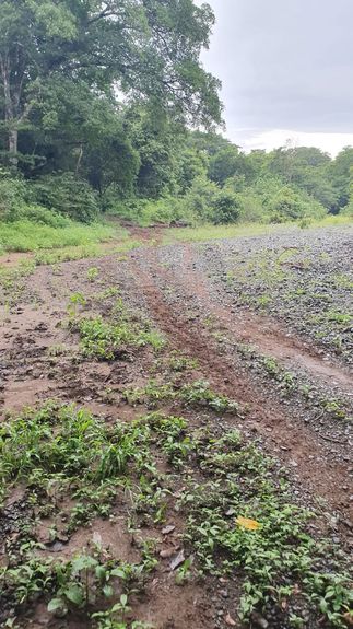 6c9a910c-fa10-4c7c-bee1-72f4517f55dd