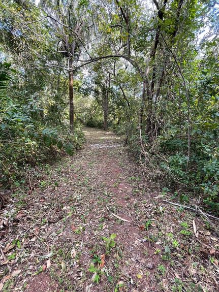 6eb7de7f-dc67-4362-ae5e-3bf4f8db6203