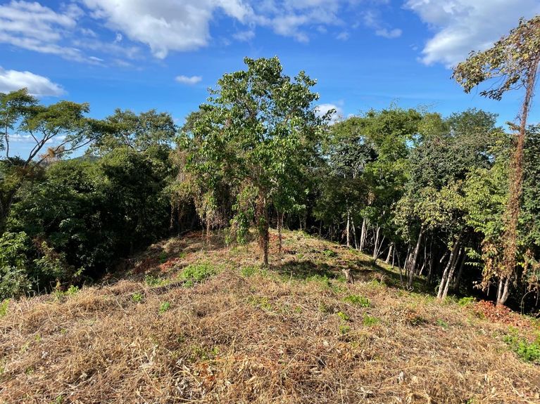 7ee4e959-6b8c-4aa1-a542-c18f51356ad5