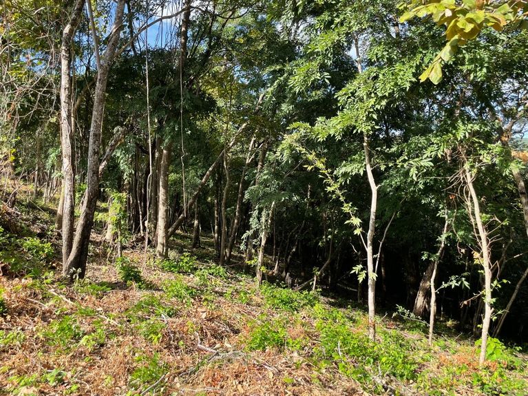 80d8c3c0-366e-42f0-96e6-b67479bf4191