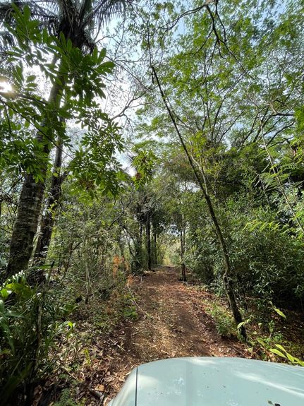 982f64eb-8a27-484a-a503-4ceed2e94ebd