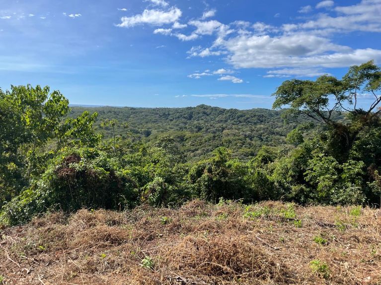 c1b76781-9d64-492c-a26e-ed3aceefac1a