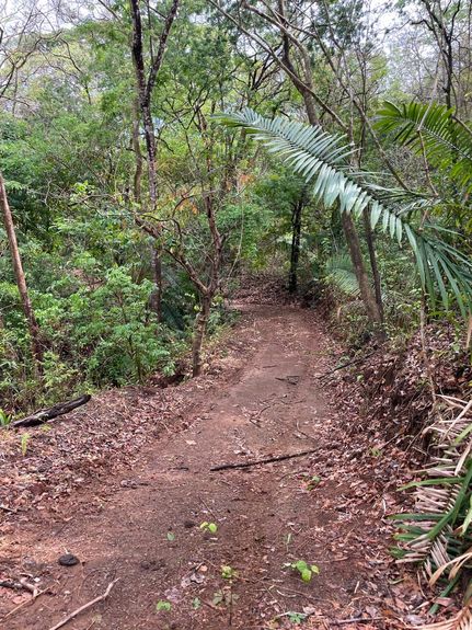 e82b6659-58a0-4019-8728-bb82d0d56724