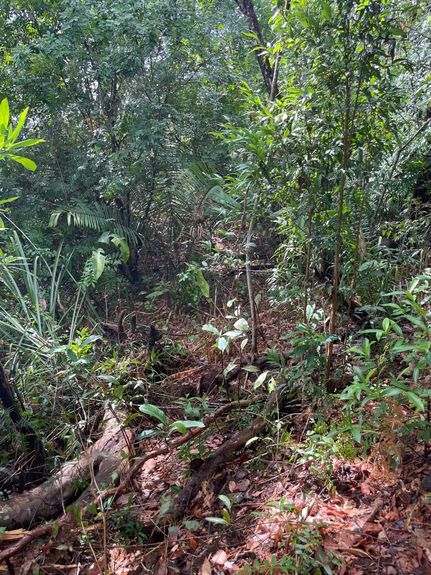 f42daf41-5400-41f9-a9a9-6607c47a6ef0