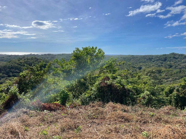 f84113f7-1b8a-485b-aa6b-3d68ad74a437